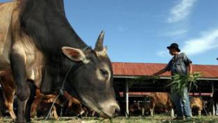 Pencanagan UPSUS SIWAB Tahun 2018 Bengkalis 