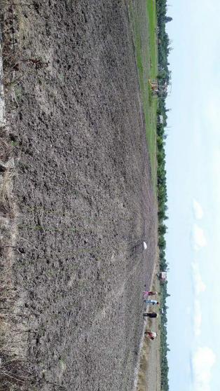 Kekeringan Tanam Padi