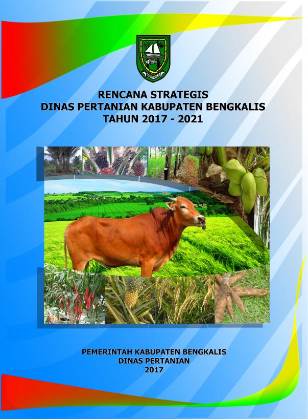 RENSTRA DISTAN 2017-2021