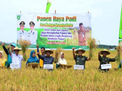 Panen Raya di Desa Mentayan